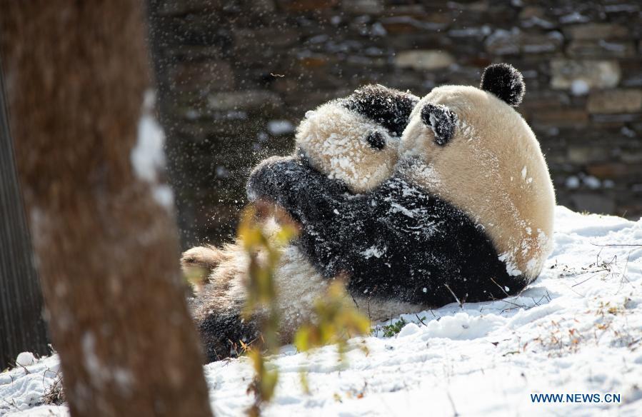 (Foto: Xinhua/ Jiang Hongjing)