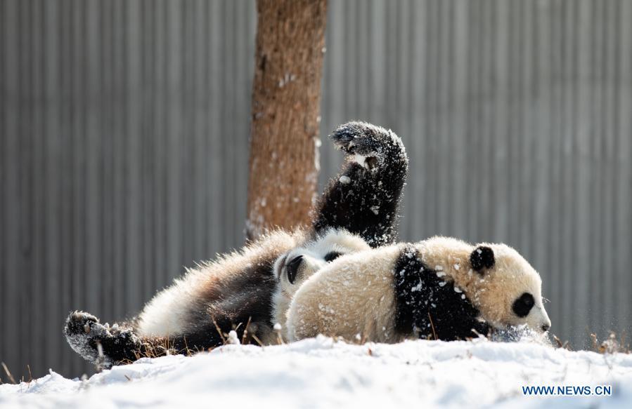 (Foto: Xinhua/ Jiang Hongjing)