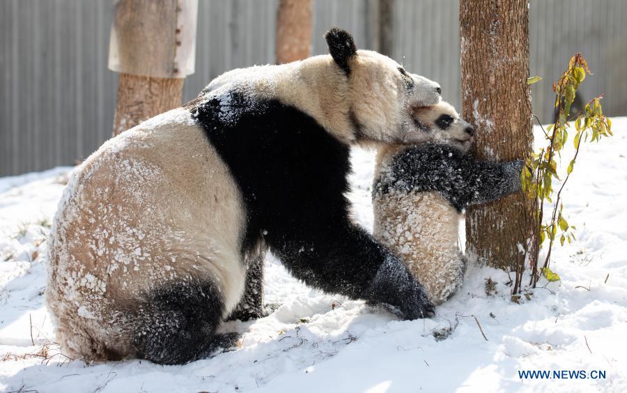 (Foto: Xinhua/ Jiang Hongjing)