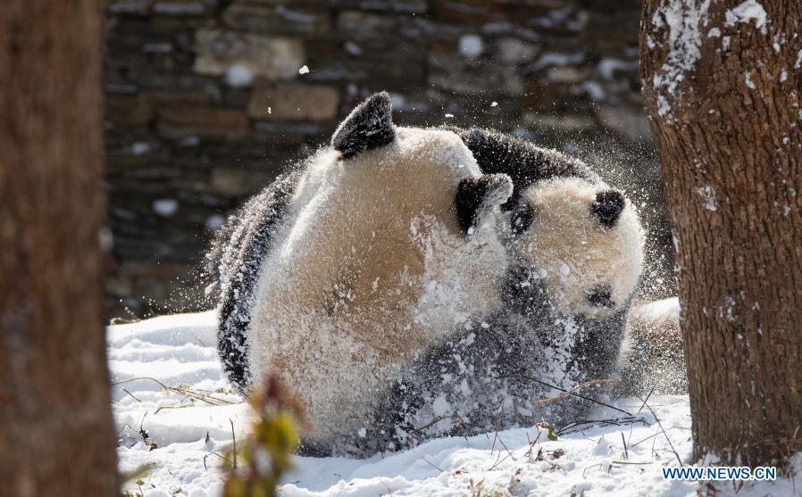 (Foto: Xinhua/ Jiang Hongjing)