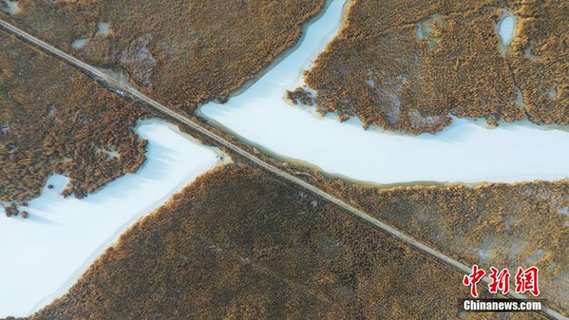 Comienza la cosecha de juncos en el lago Bosten en Xinjiang