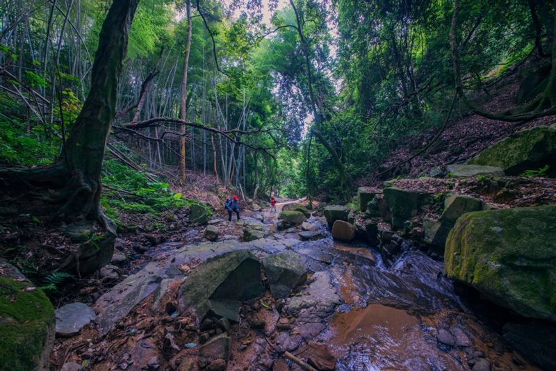 Niangzhai, castillo tradicional chino en la aldea Liangzhai, Fuzhou, provincia de Fujian, tiene más de 300 a?os de historia y cubre un área de más de 7.000 metros cuadrados. [Foto: Zhu Xianghao/ China Daily]