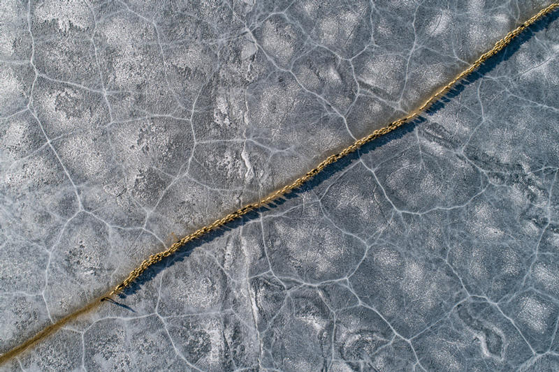 Una manada de ovejas caminando por un camino seguro en el lago congelado, Región Autónoma del Tíbet, 6 de marzo del 2021. (Foto: Sun Ruibo/ Xinhua)