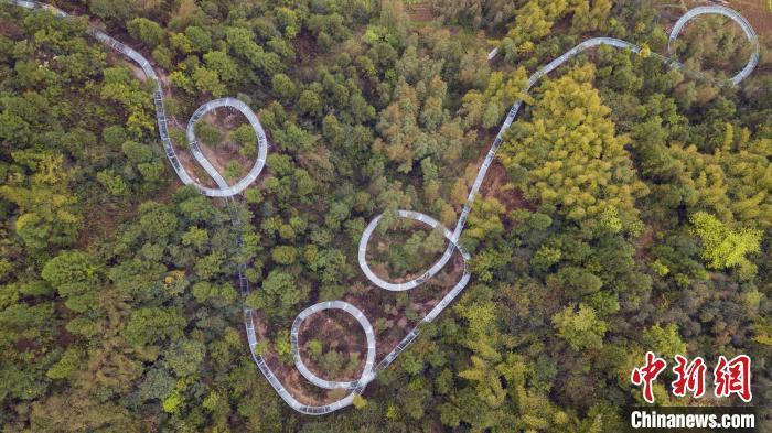 Esta foto sin fecha muestra partes de un tobogán de vidrio con agua instalado en un Parque de Ecoturismo de Bambú de las Tres Gargantas, en el condado Zigui de la provincia de Hubei, en el centro de China. 