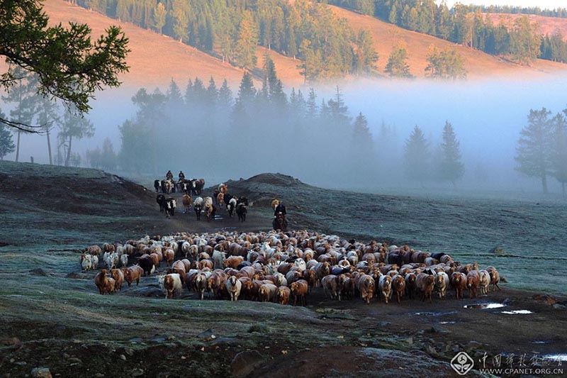 Pastores kazajos y el reba?o, Xinjiang. [Foto: Qian Han/cpanet.org.cn]