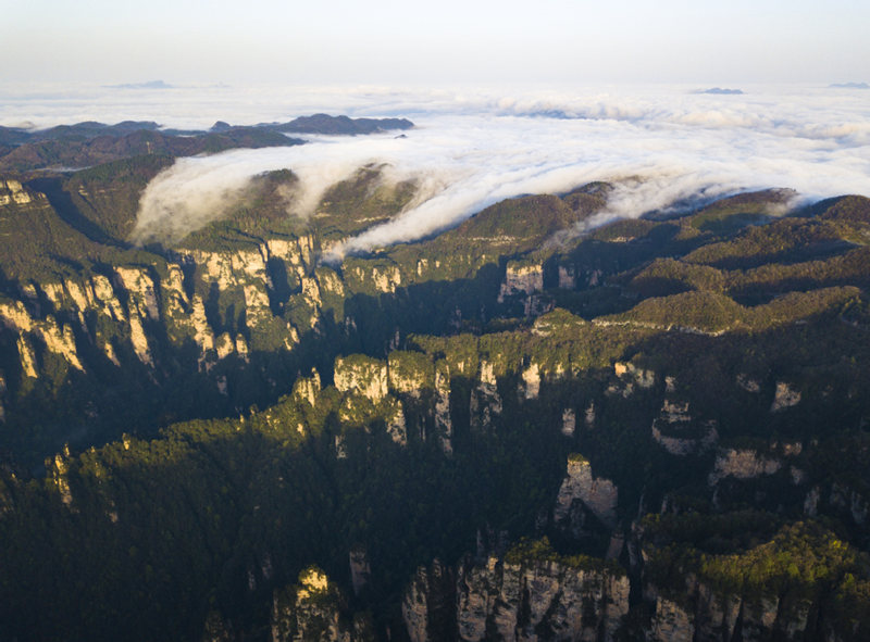 Parque de Zhangjiajie, provincia de Hunan, que ostenta la condición de Patrimonio Natural de la Humanidad, es el primer parque forestal nacional de China. [Foto: Zhou Jianxin/ China Daily]