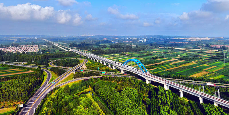 Un tren de alta velocidad pasa por los campos de flores en una sección de la vía férrea Qingdao-Yancheng. (Lyv Hengwei / Para chinadaily.com.cn)