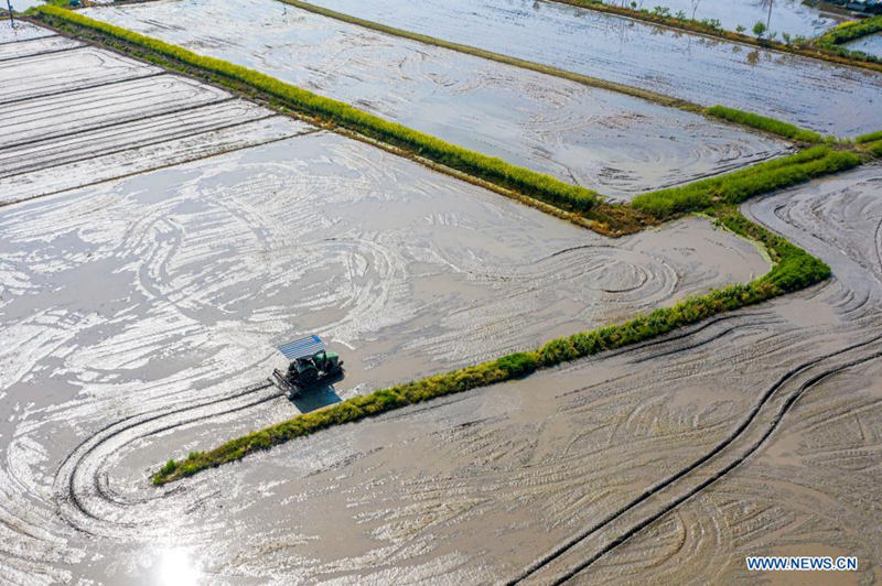 Agricultores en Hanxia, provincia de Zhejiang, 5 de abril del 2021. [Foto: Xinhua]