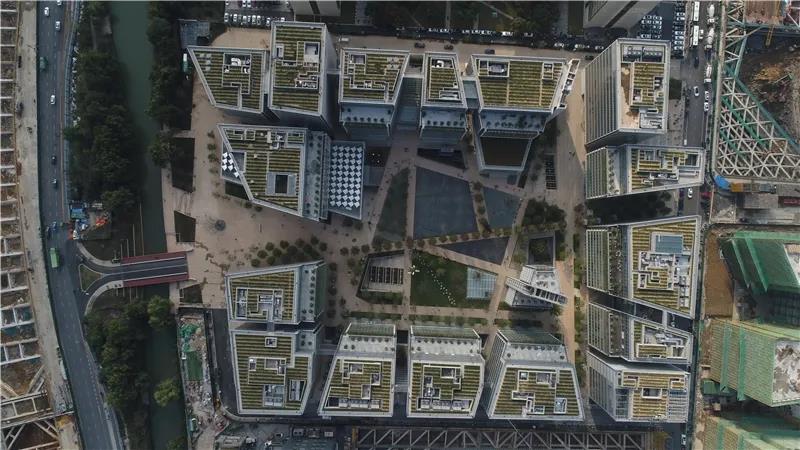 Arbustos de té crecen encima de 16 edificios de amplios ventanales vidriados en un complejo residencial de Hangzhou, provincia de Zhejiang. [Foto: proporcionada a chinadaily.com.cn]