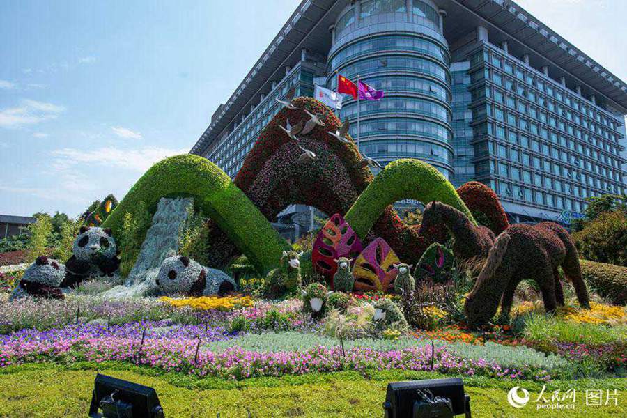 Terrazas temáticas florales por el centenario de la fundación del PCCh