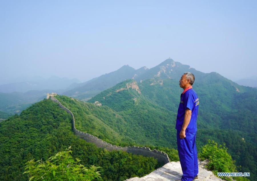 Zhang Heshan desmaleza la sección de la Gran Muralla de Chengziyu en Qinhuangdao, provincia de Hebei, 7 de julio del 2021. (Foto: Xinhua/ Jin Haoyuan)