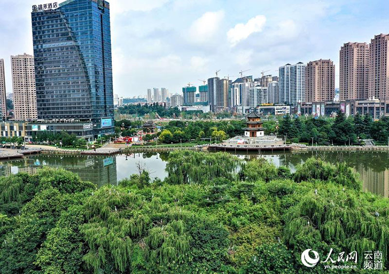 (Foto cortesía del Centro de Convergencia de Medios de Anning, provincia de Yunnan)