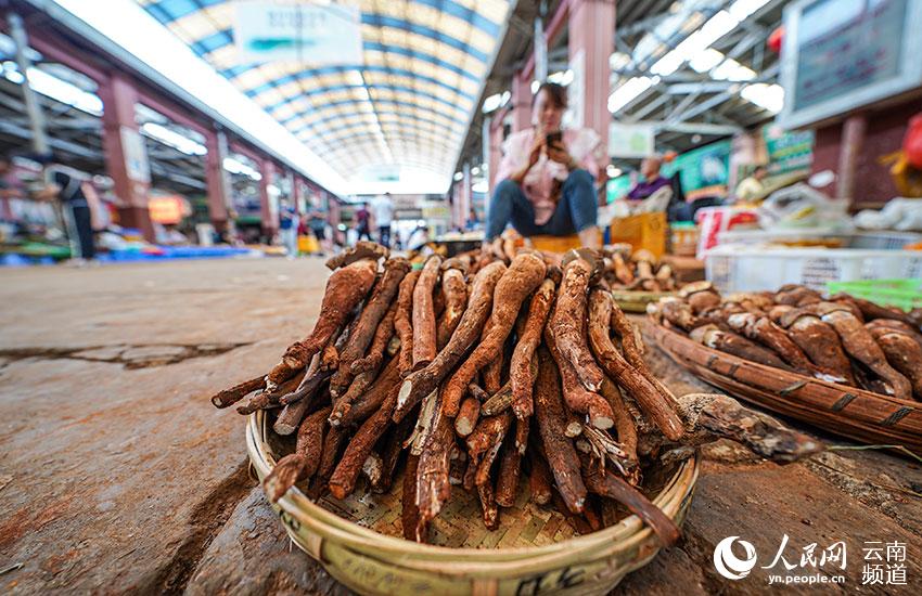 La foto muestra una especie de hongo comestible llamado termitomyces albuminosus.