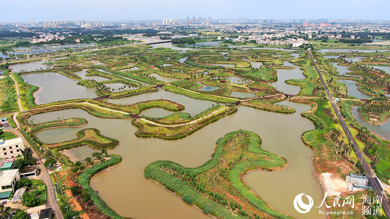 Peque?as islas dispersas alrededor del humedal del río Maiya en el nuevo distrito Jiangdong de Haikou, provincia de Hainan. (Foto: Pueblo en Línea/ Niu Liangyu)