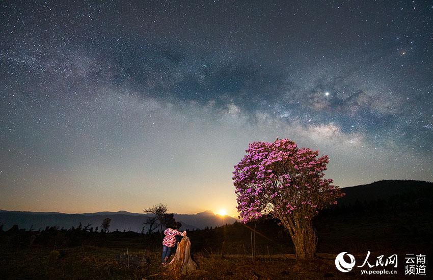 Azalea, una de las ocho flores más populares en Yunnan