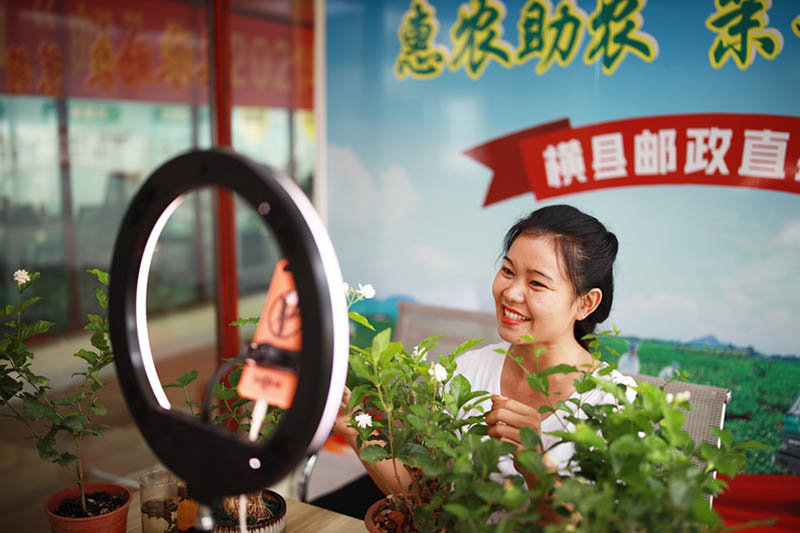 Una mujer promueve las flores de jazmín locales en una sesión de transmisión en vivo en la aldea de Tanwen, Hengzhou, en la región autónoma Zhuang de Guangxi, en el suroeste de China. (Foto / Wu Mingjiang)