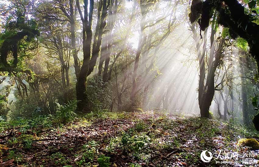 Descubren nuevos destellos de la Hoya burmanica en Yunnan