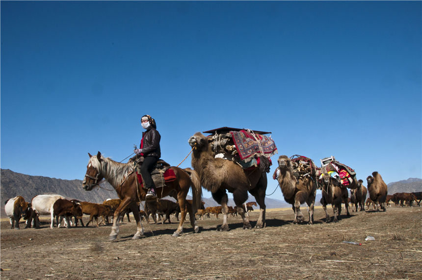 Zagales de Xinjiang trasladan el ganado hacia los pastizales de oto?o