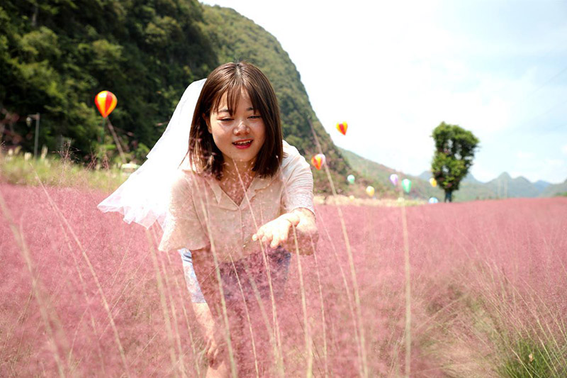 Una mujer posa en medio de un campo de hierba muhly (Muhlenbergia capillaris) del condado de Changshun, provincia de Guizhou. [Foto: China Daily]