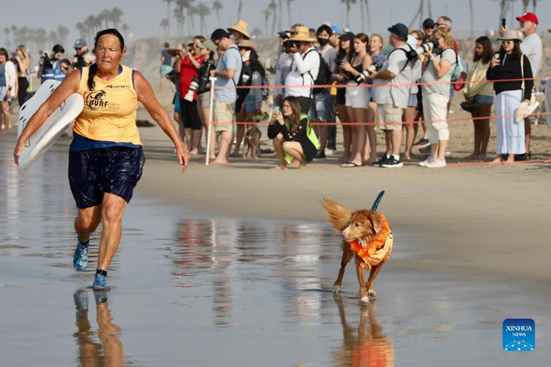 Surf City Surf Dog remonta olas en California, EE. UU.