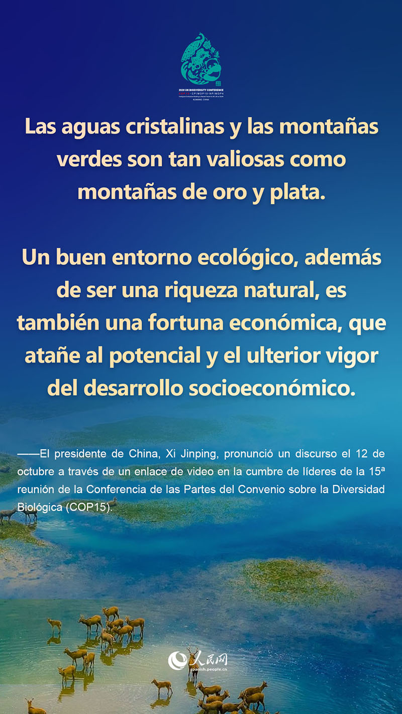 Lo más destacado del discurso del presidente Xi Jinping en la cumbre de líderes de la COP15