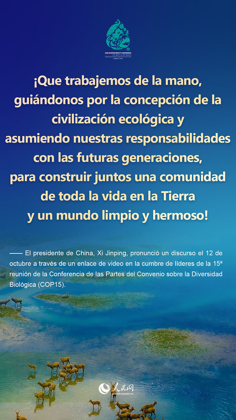 Lo más destacado del discurso del presidente Xi Jinping en la cumbre de líderes de la COP15