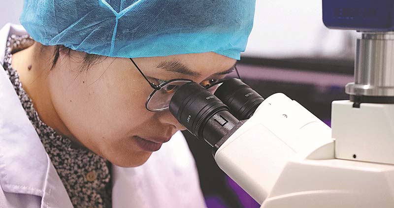 Zhang Ling, investigador del instituto, utiliza un microscopio para observar muestras de animales el 13 de agosto. [ZHU XINGXIN / CHINA DAILY]