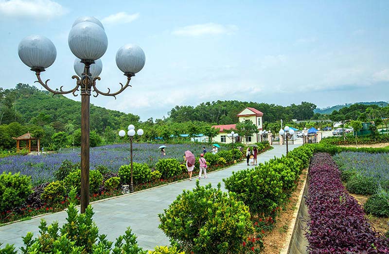 La foto muestra alojamientos rurales de estancias compartidas en el condado Tunchang, provincia de Hainan. (Foto / Xu Huan)