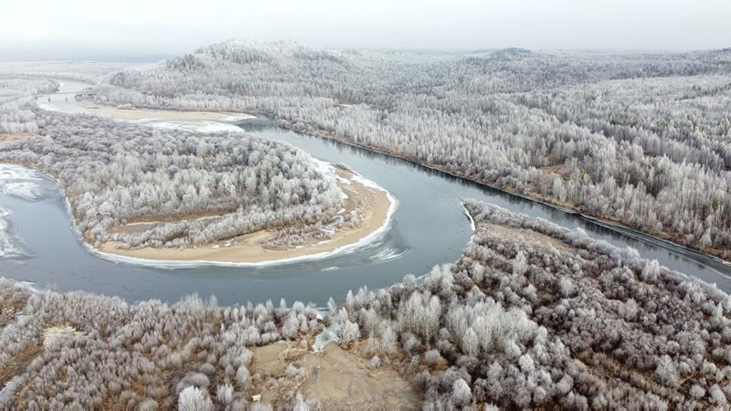 La escarcha deslumbra en el frío Heilongjiang