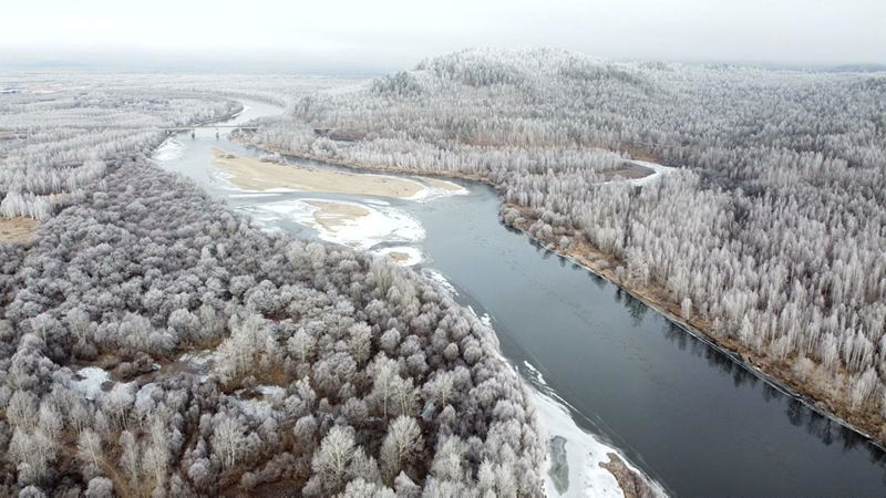 La escarcha deslumbra en el frío Heilongjiang