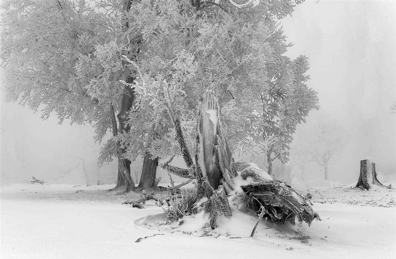 La escarcha crea un paisaje de cuento de hadas en Jilin