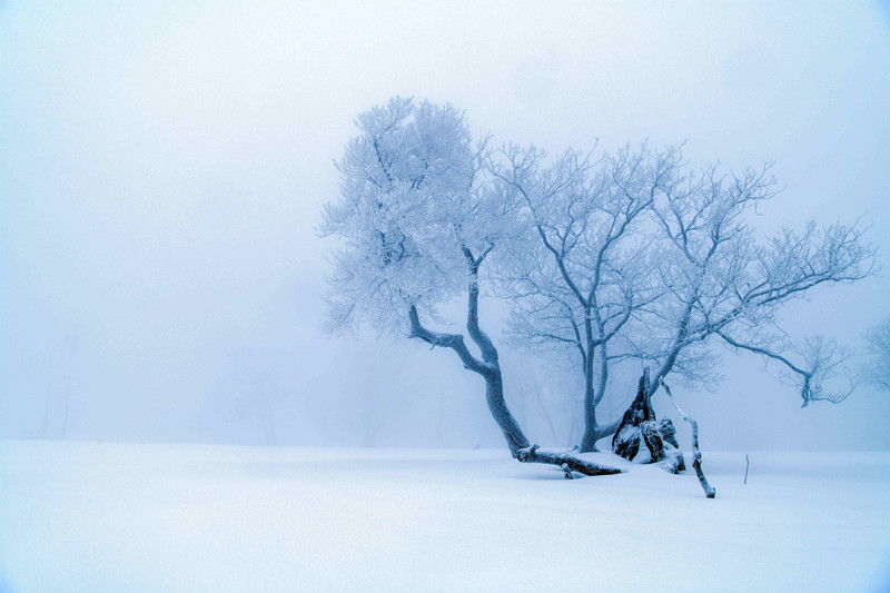 La escarcha crea un paisaje de cuento de hadas en Jilin