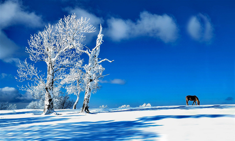 La escarcha crea un paisaje de cuento de hadas en Jilin