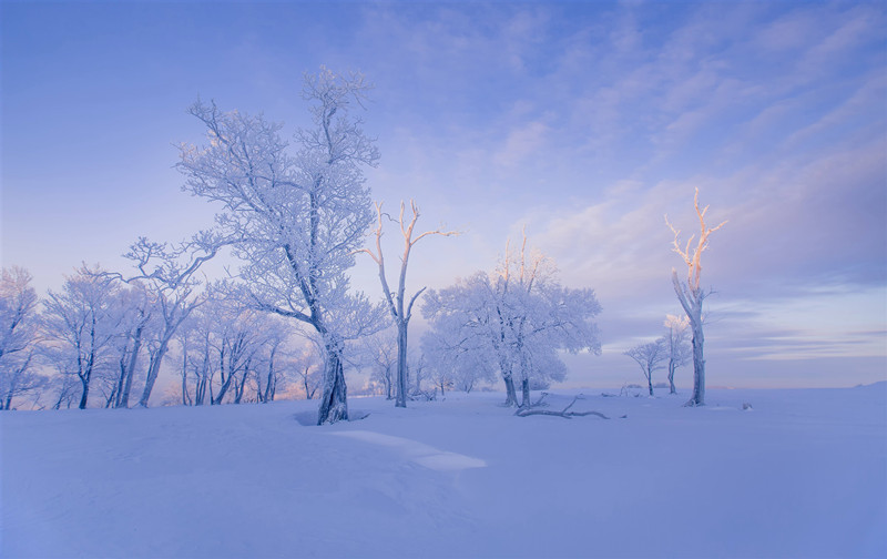 La escarcha crea un paisaje de cuento de hadas en Jilin