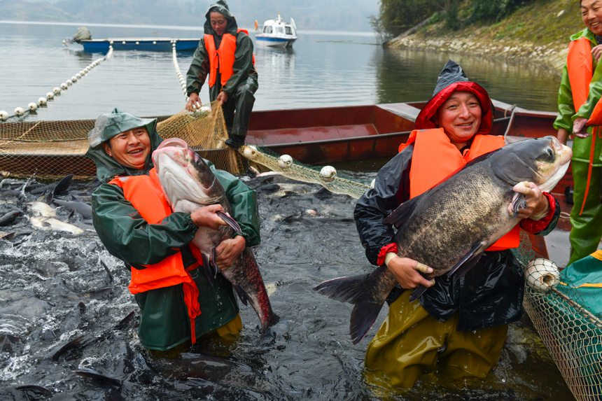 Comienza la pesca de invierno en un embalse ecológico de Chongqing