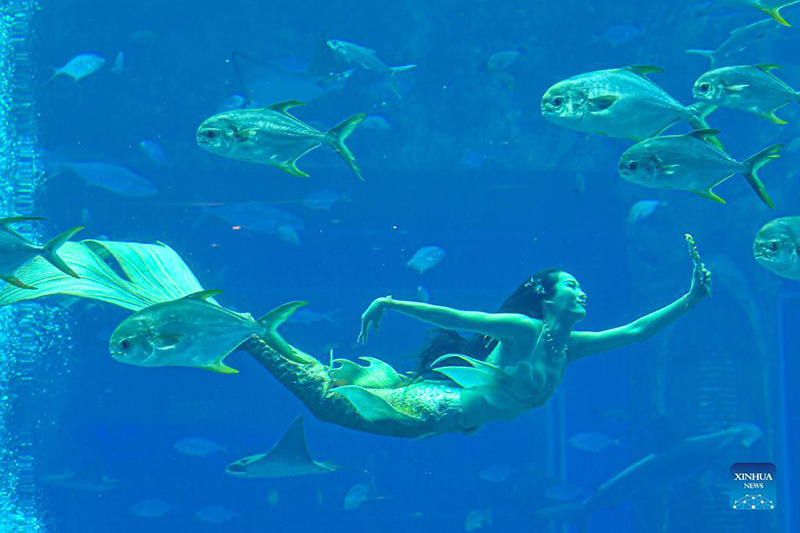 Hermosas sirenas concursan en Sanya, Hainan