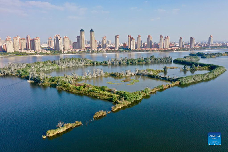 Una foto aérea tomada el 8 de diciembre del 2021 muestra la vista de un humedal en el distrito de Jimei de Xiamen, provincia de Fujian. 