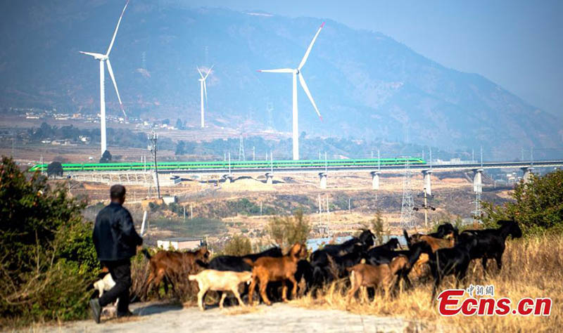 Tren bala “Gigante Verde” energiza el sur de Sichuan 