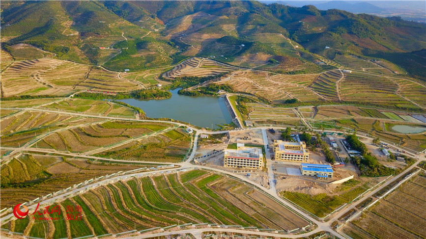 Campos experimentales en la Base Nacional para el Mejoramiento de Semillas, ubicada en la ciudad de Sanya, provincia de Hainan. (Foto: Pueblo en Línea/ Niu Liangyu)