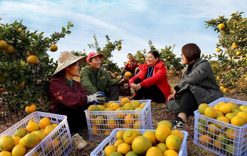 El 19 de diciembre de 2021, el personal de la Comisión de Inspección y Supervisión Disciplinaria del distrito Xiangdong, ciudad de Pingxiang, provincia de Jiangxi, solicitó opiniones y sugerencias de los habitantes de la aldea de Jingxing. Deng Jianping/Pueblo en Línea