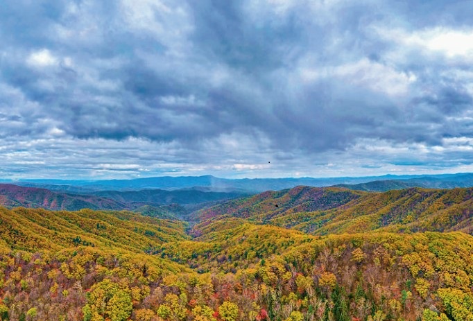 El Parque Nacional de Tigres y Leopardos del Noreste de China muestra un paisaje magnífico. Foto cortesía de la Administración del Parque Nacional de Tigres y Leopardos del Noreste de China