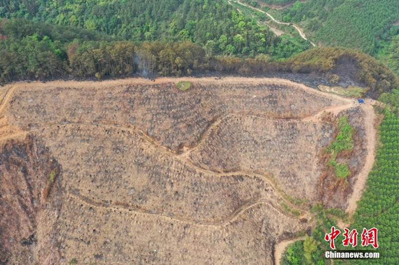 Vista aérea del lugar del accidente del Boeing 737 de China Eastern en Guangxi