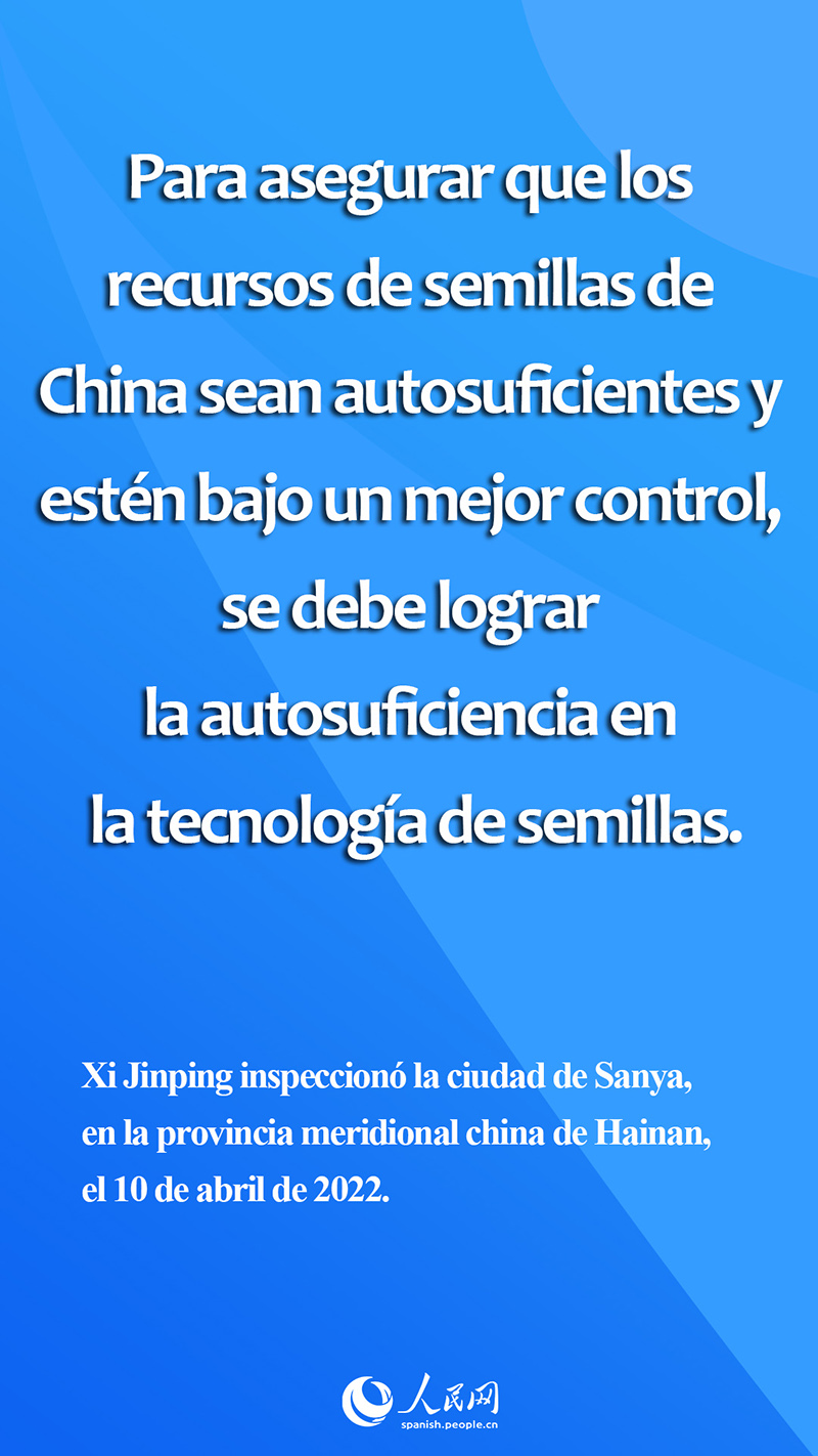 Xi subraya importancia de "semillas chinas" para garantizar seguridad alimentaria