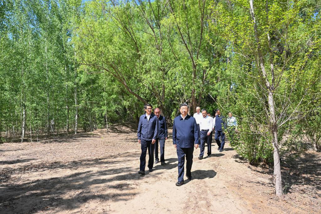 Xi pide esfuerzos sostenidos para crear nuevos milagros en lucha contra la desertificación