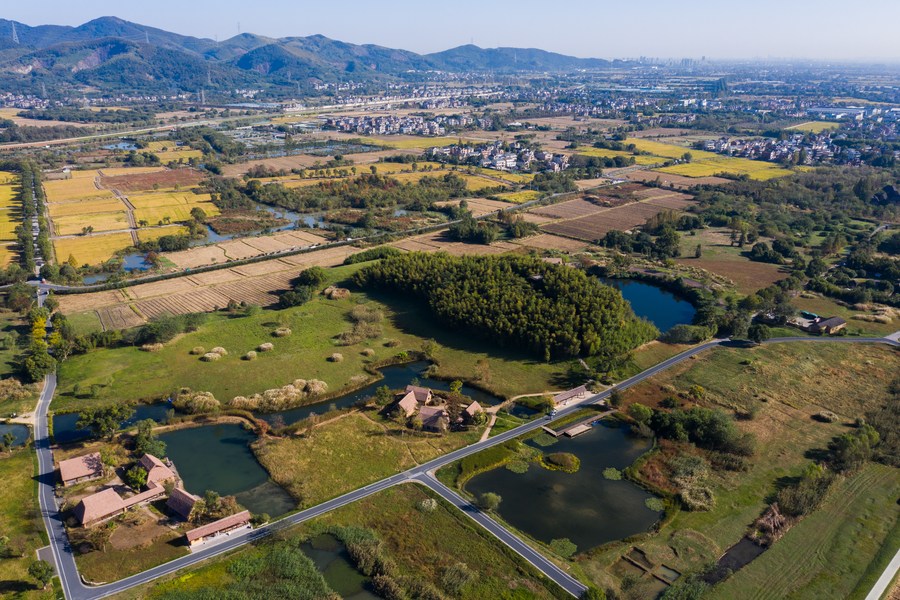 Vista del parque de las Ruinas Arqueológicas de la Ciudad de Liangzhu en Hangzhou, capital de la provincia oriental china de Zhejiang, el 7 de noviembre de 2023. (Xinhua/Xu Yu)