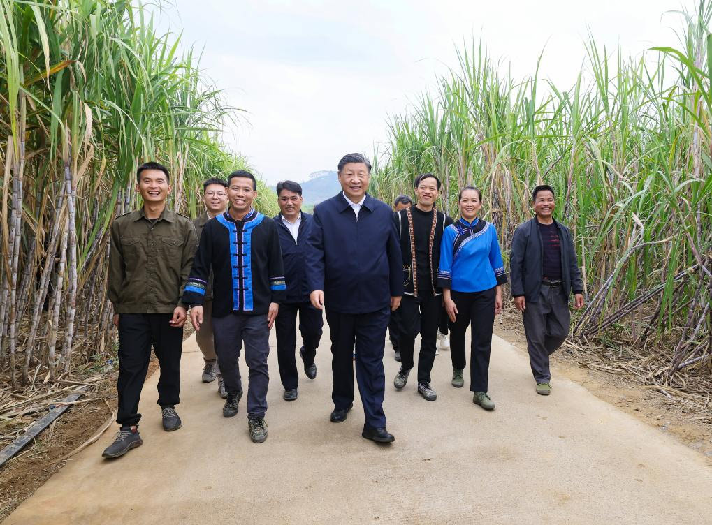 Xi inspecciona ciudad de Laibin de Guangxi en sur de China