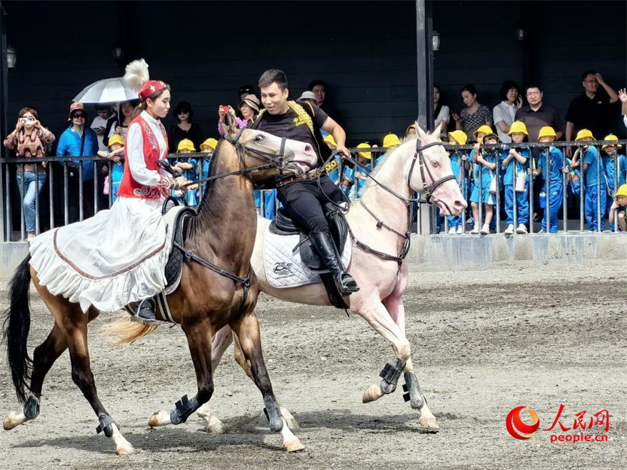 Xinjiang integra el desarrollo de la industria ecuestre con el turismo