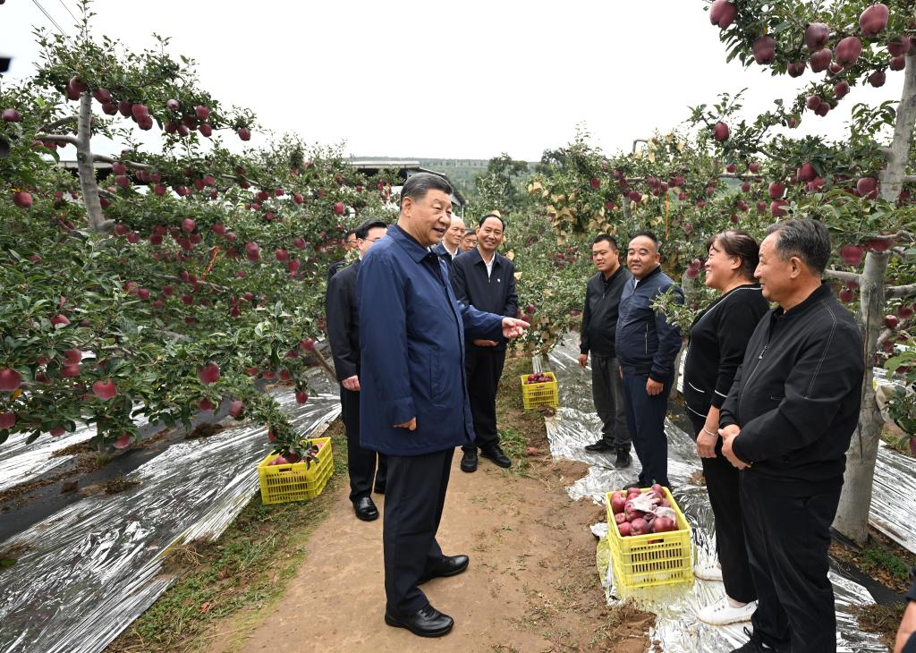 Xi realiza inspecciones en provincias de Shaanxi y Gansu en el noroeste de China