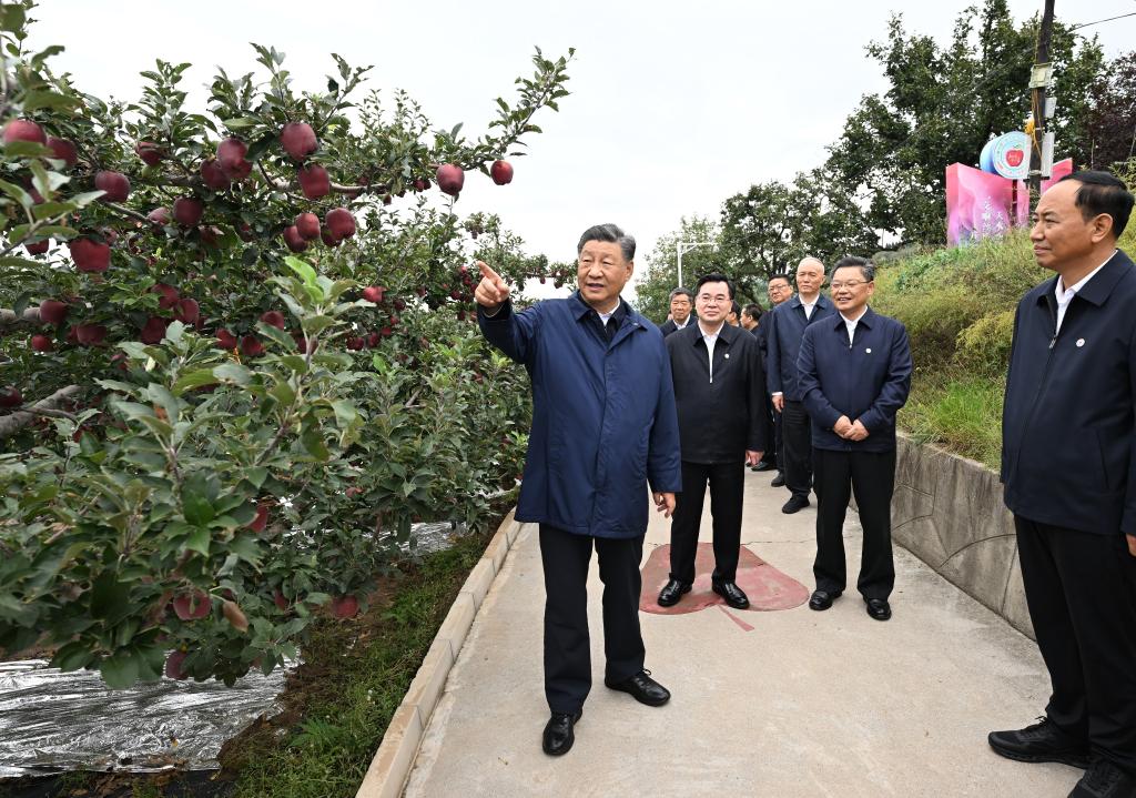 Xi realiza inspecciones en provincias de Shaanxi y Gansu en el noroeste de China