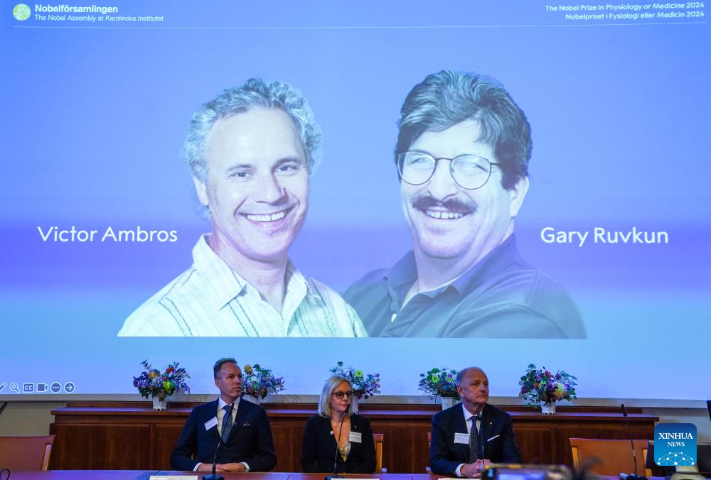 Retratos de los galardonados con el Premio Nobel de Fisiología o Medicina 2024, Victor Ambros y Gary Ruvkun, son vistos en el Instituto Karolinska, en Estocolmo, Suecia, el 7 de octubre de 2024. El Premio Nobel de Medicina 2024 fue concedido el lunes a dos científicos estadounidenses, Victor Ambros y Gary Ruvkun, por su descubrimiento del microARN y su papel en la regulación génica postranscripcional. (Xinhua/Peng Ziyang)